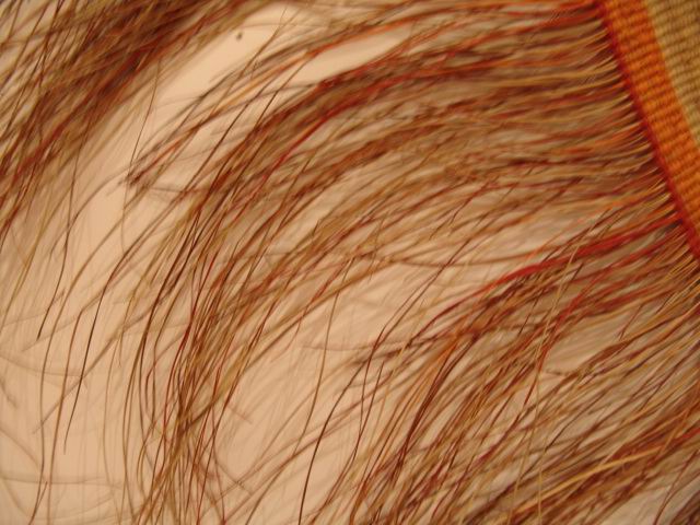 b8.jpg