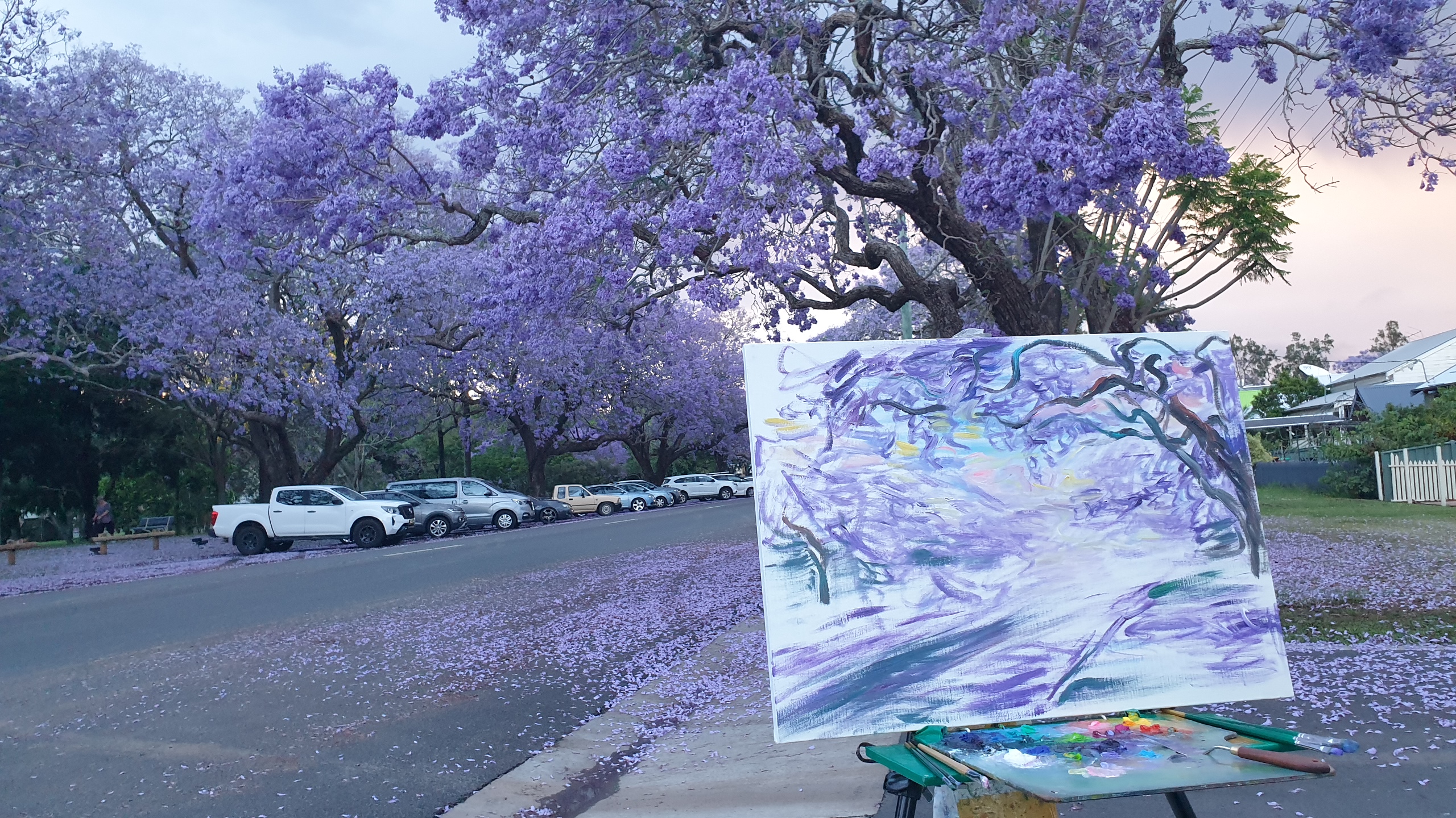 [In the city of Jacaranda Grafton 그래프튼에서] - 사진을 클릭하시면 원본크기를 보실 수 있습니다.