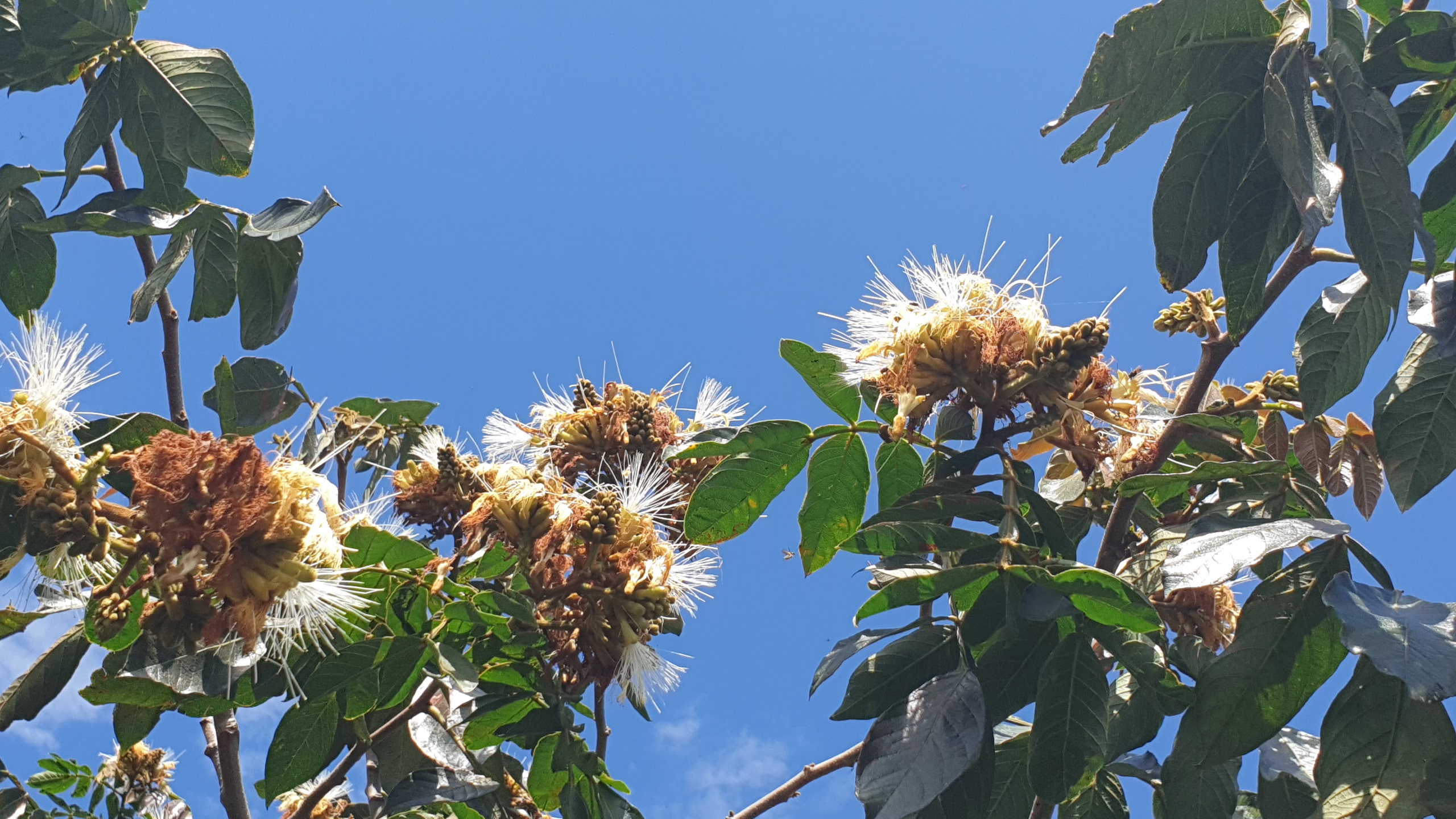 [Last paintings in Australia 호주에서 그리는 마지막 그림들] - 사진을 클릭하시면 원본크기를 보실 수 있습니다.