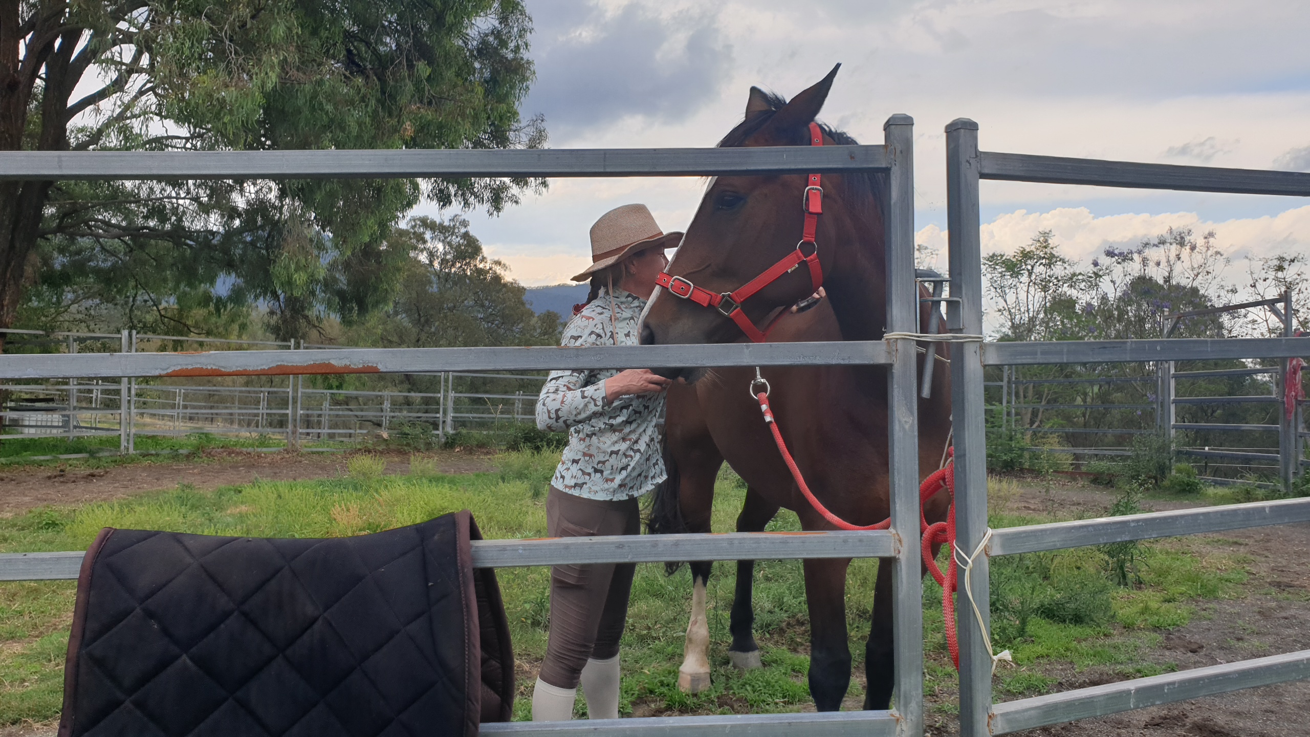 [Last paintings in Australia 호주에서 그리는 마지막 그림들] - 사진을 클릭하시면 원본크기를 보실 수 있습니다.