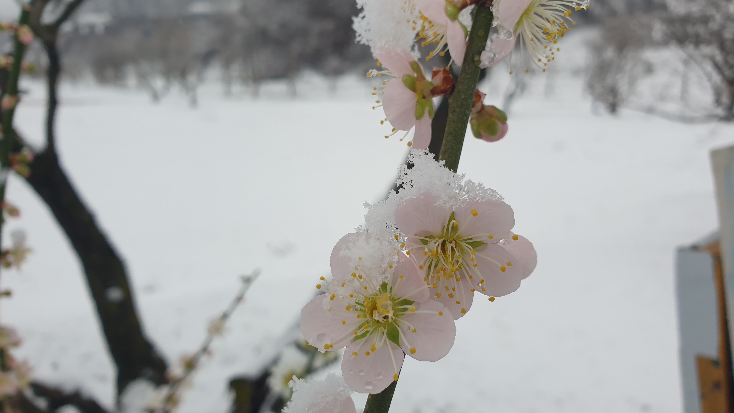 [Recent Works] - 사진을 클릭하시면 원본크기를 보실 수 있습니다.