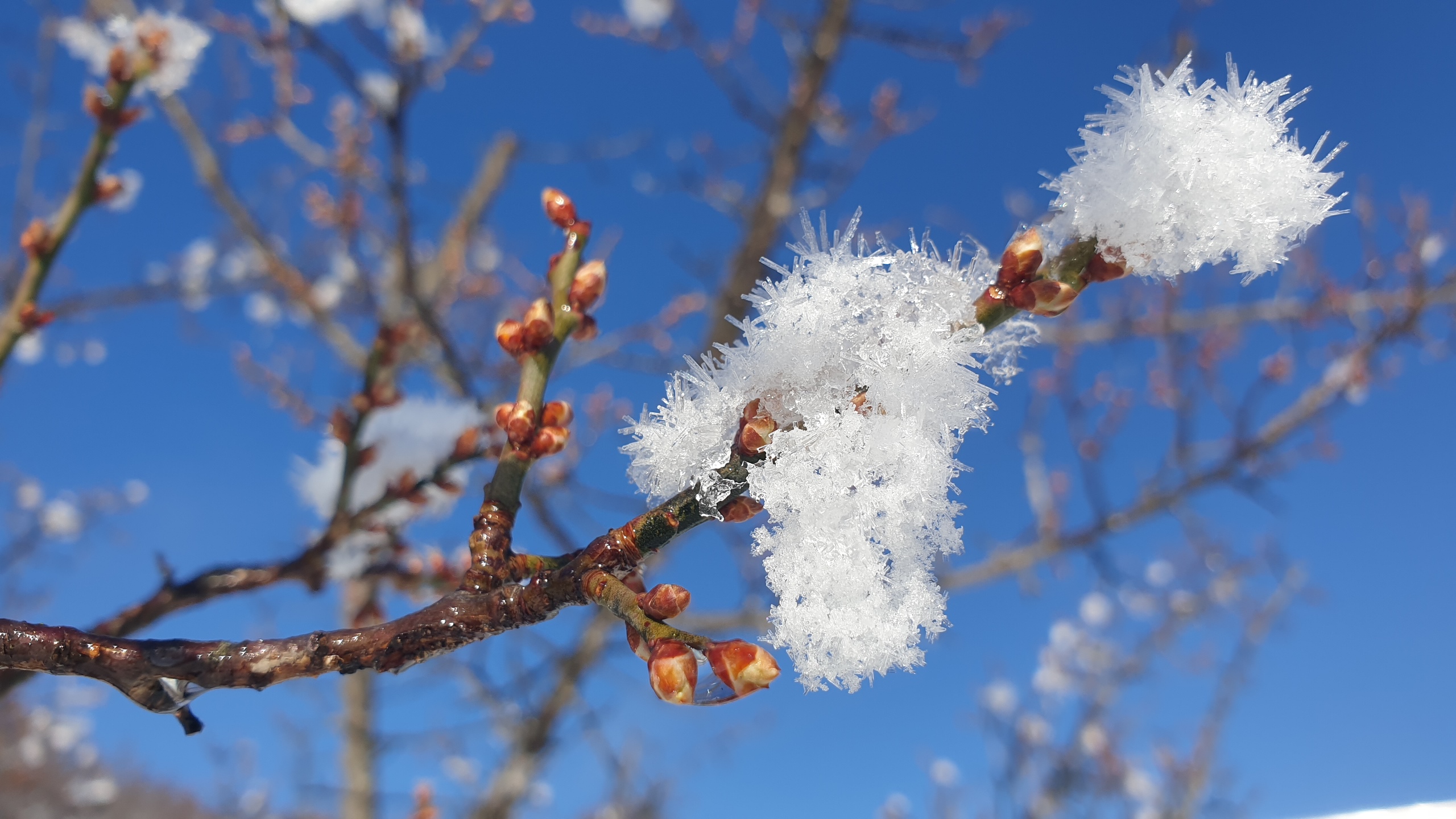 [Recent Works] - 사진을 클릭하시면 원본크기를 보실 수 있습니다.