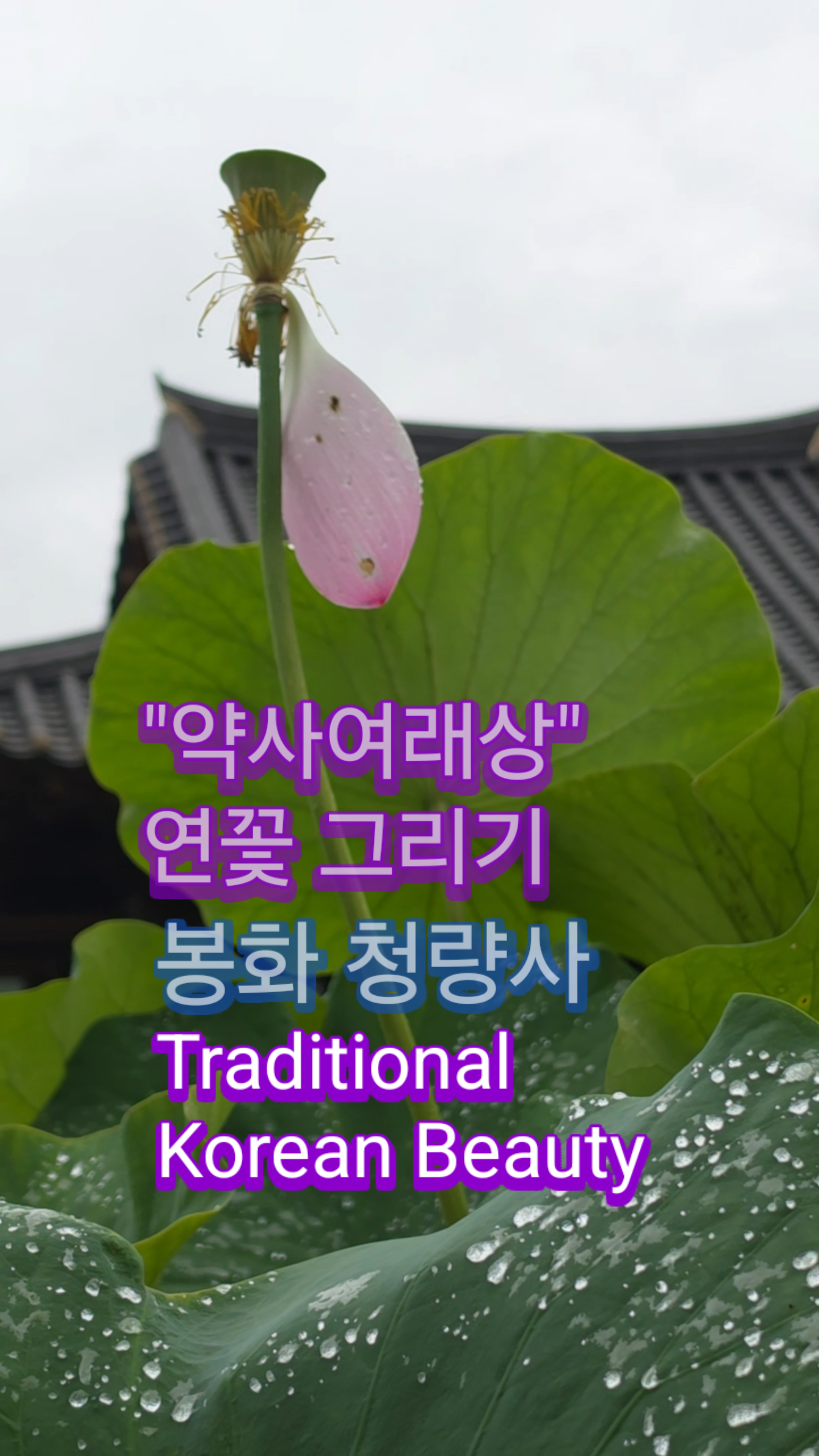 [Recent Works 최근작품] - 사진을 클릭하시면 원본크기를 보실 수 있습니다.