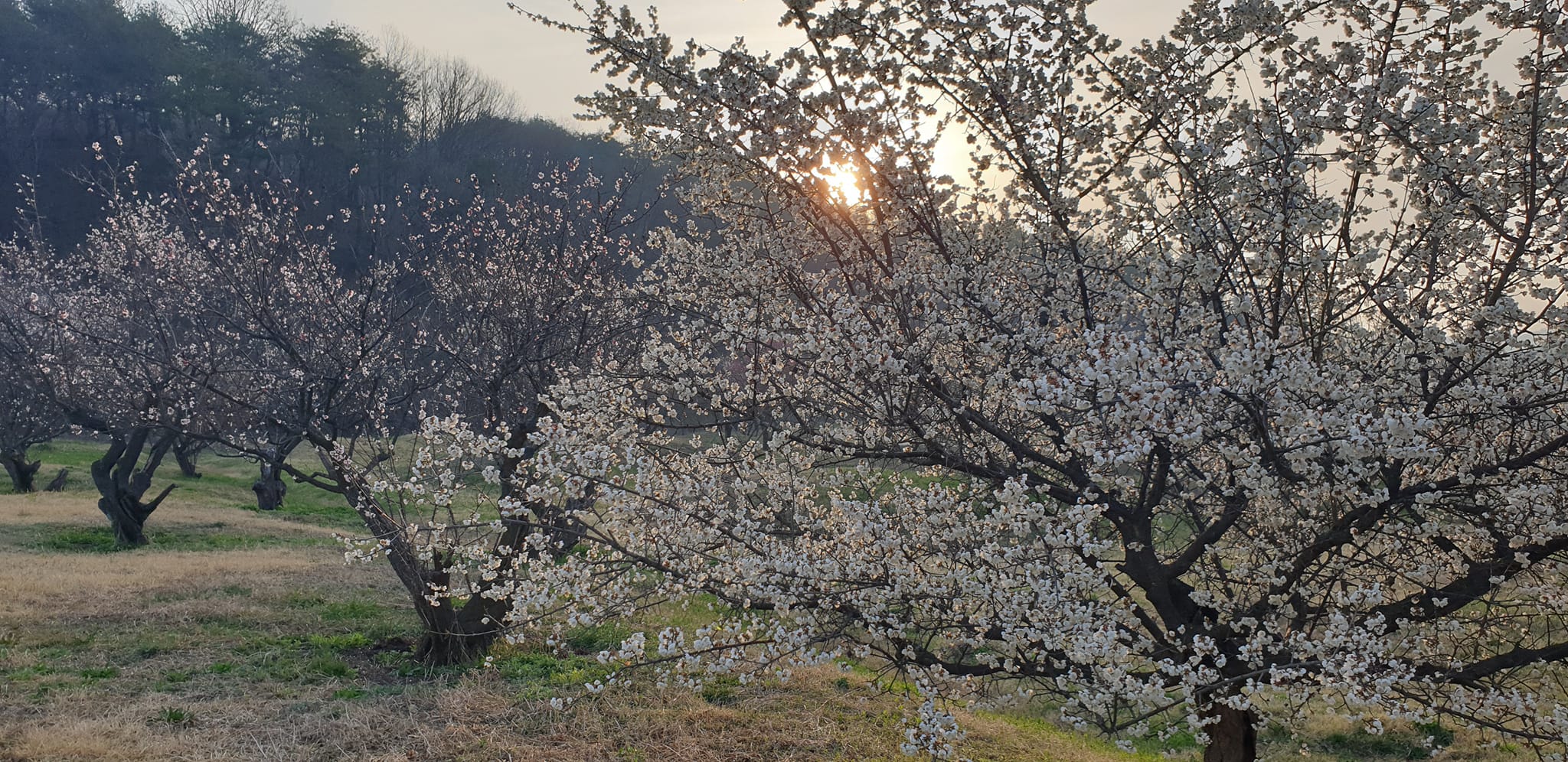 [Plein Air 현장작업] - 사진을 클릭하시면 원본크기를 보실 수 있습니다.