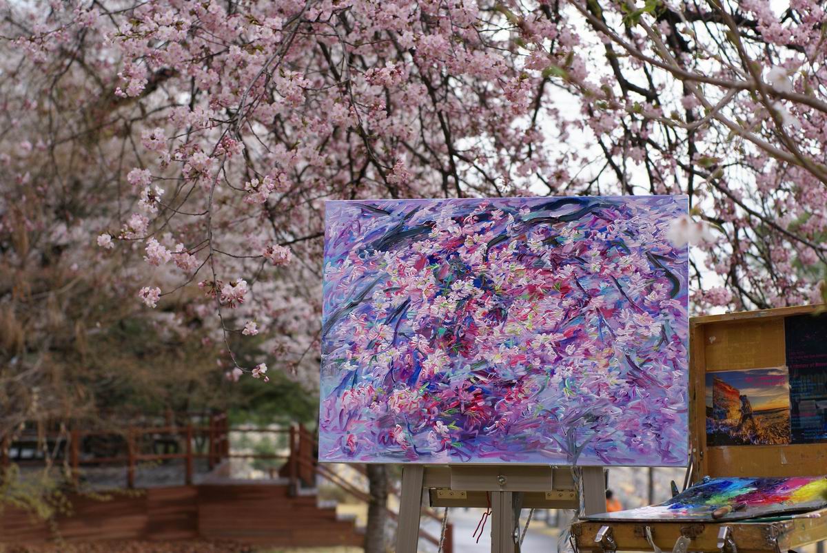 [Cherry blossoms  ] -  ŬϽø ũ⸦   ֽϴ.