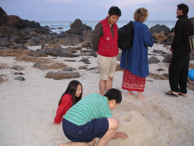 [on the beach 2 - 해변에서] - 사진을 클릭하시면 원본크기를 보실 수 있습니다.